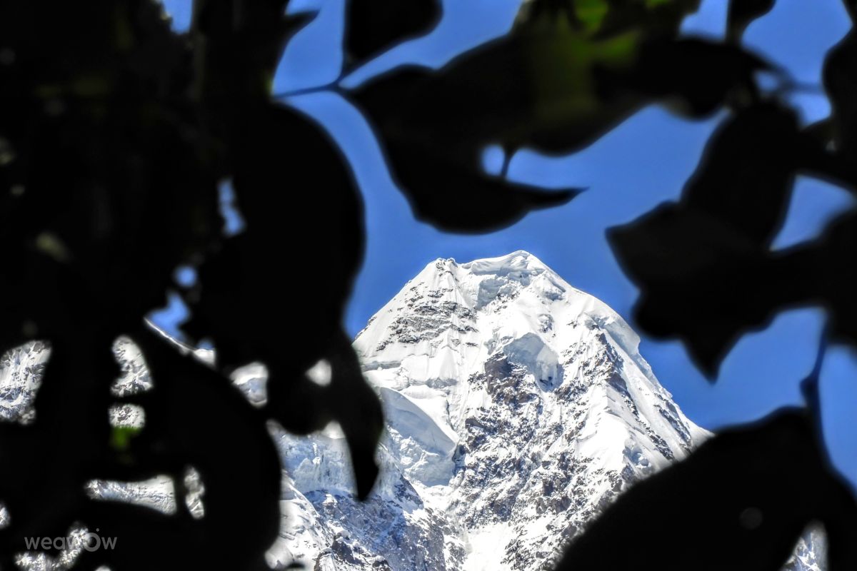 Weather forecasts with beautiful photos by Trekchitral