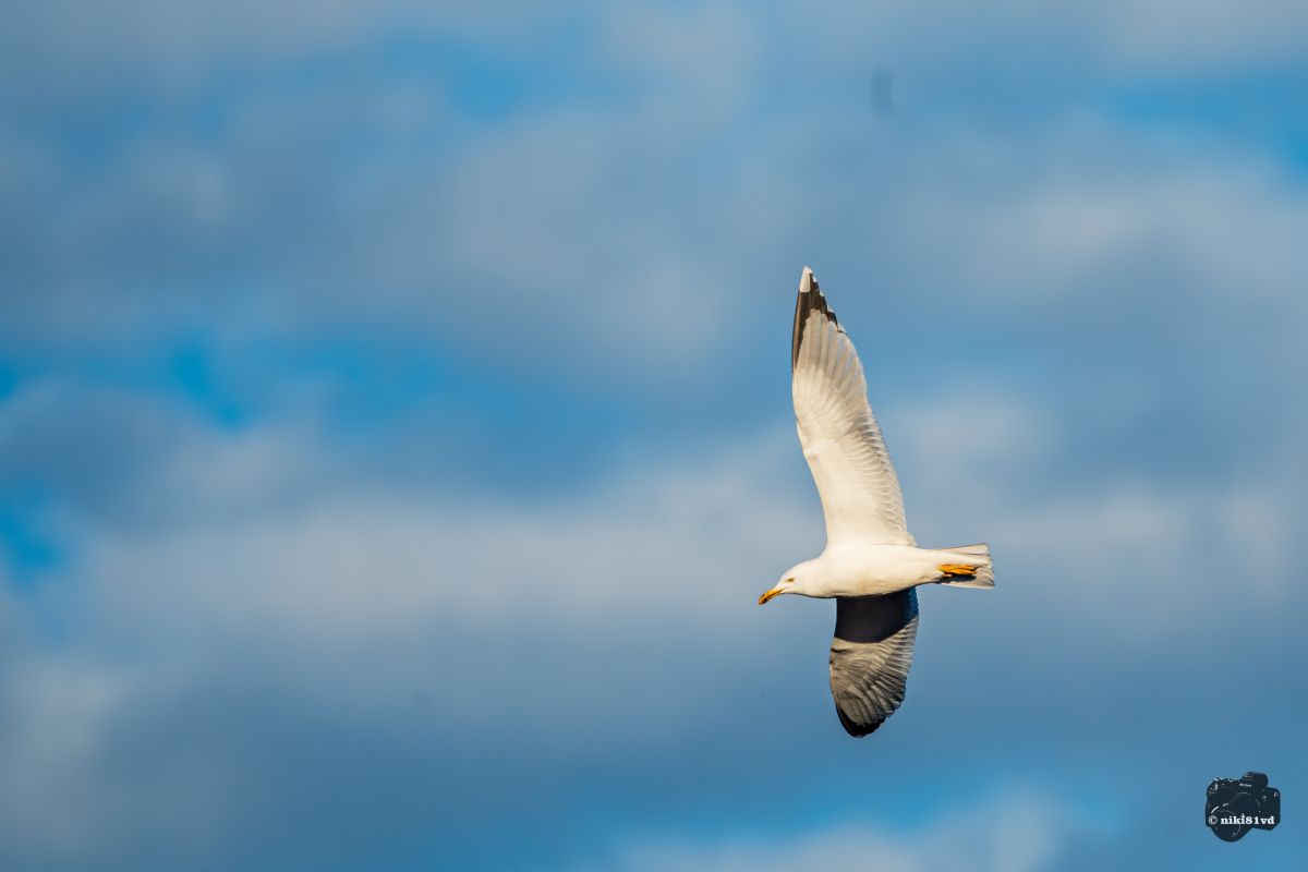 Фотографии Погоды в Пловдив. Прогнозы погоды с чудесными фотографиями, сделанными niki81vd