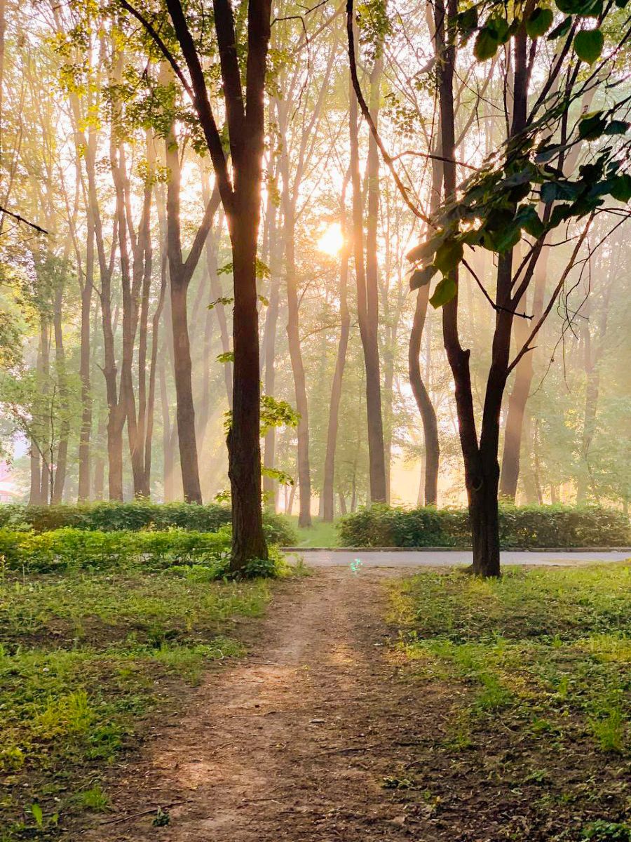 Photographer _veronikatis_, Weather Photos in Leonivka - Weawow