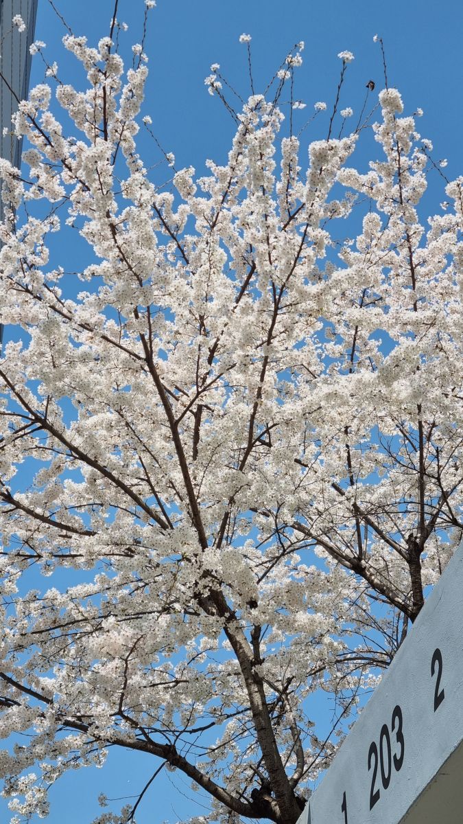Weather forecasts with beautiful photos by sue_ryu