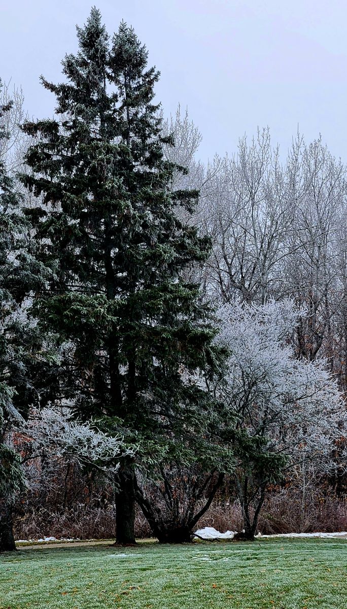 Photograph KevinG, Wetter Photos Beaverbrook - Weawow