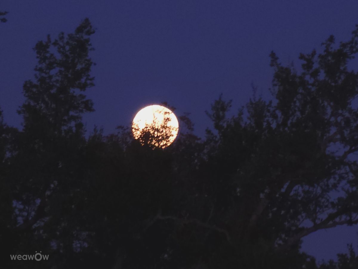 Fotografos Mklady75, Fotos do tempo em Booty's Road Park - Weawow