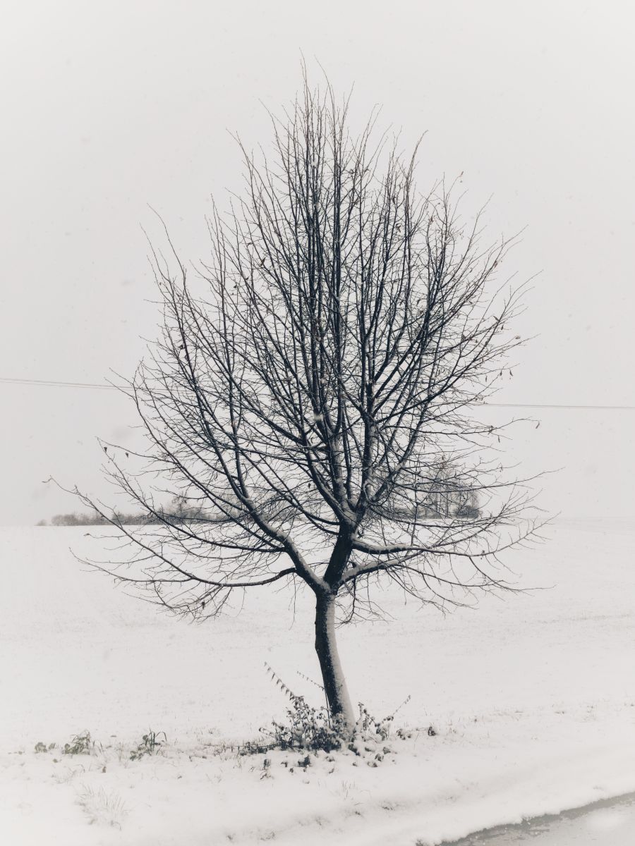 Weather Photos in Úvaly. Weather forecasts with beautiful photos by George Popo