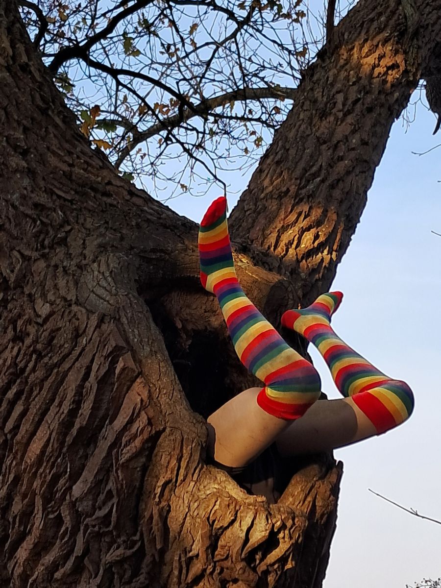 Фотограф fwerner, Фотографии Погоды в Dangast - Weawow