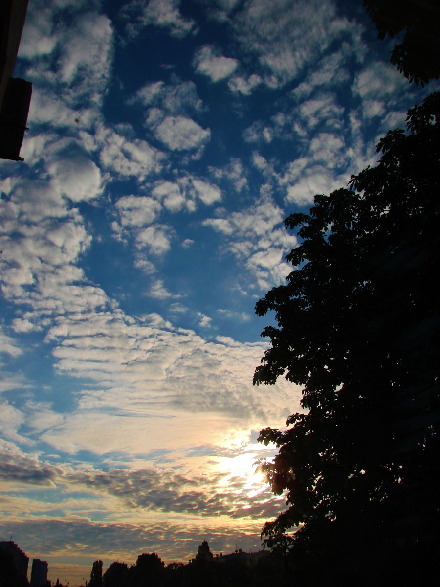 Photographer Михаил Гавриков, Weather Photos in Kharkiv - Weawow