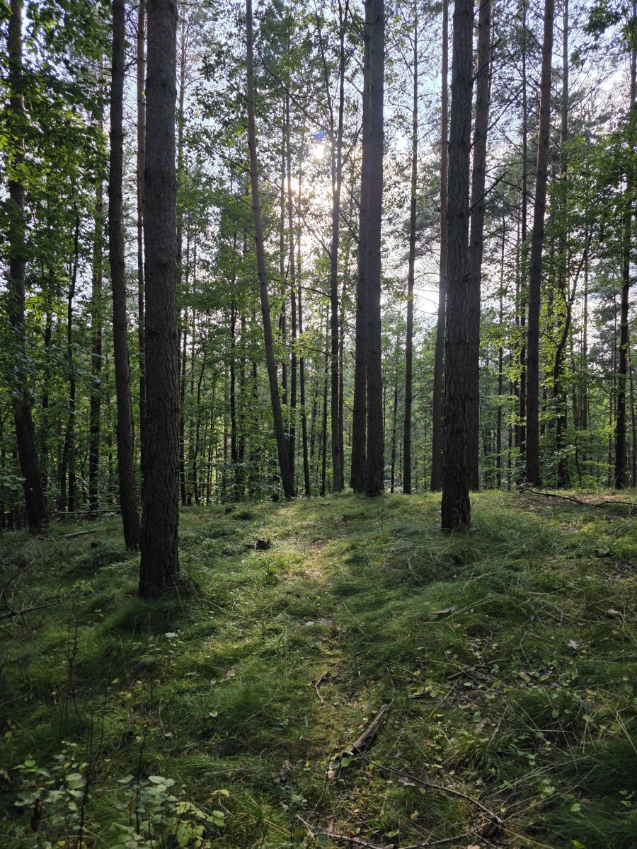 Karwinyの天気写真. xPrzybyLxの美しい写真による天気予報
