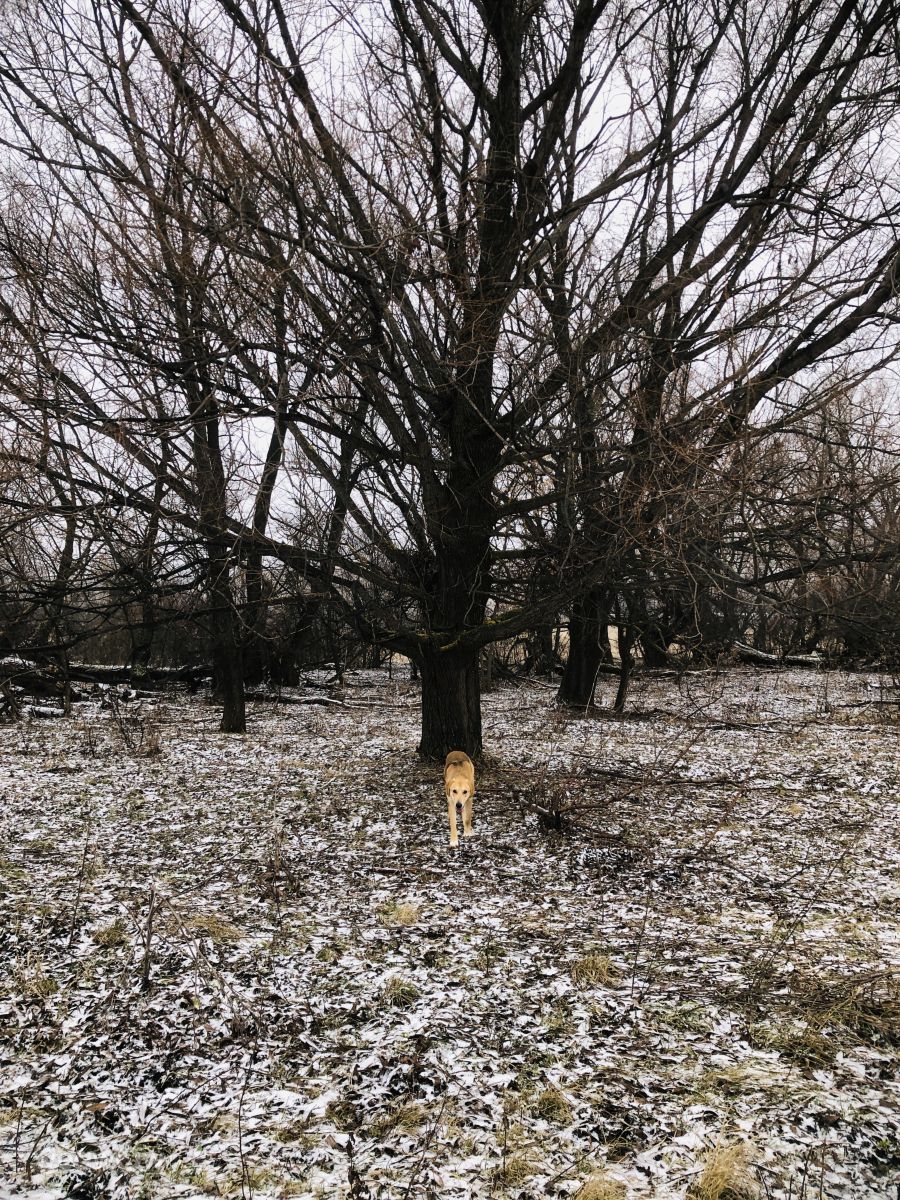 Previsões do tempo com lindas fotos de MVadim