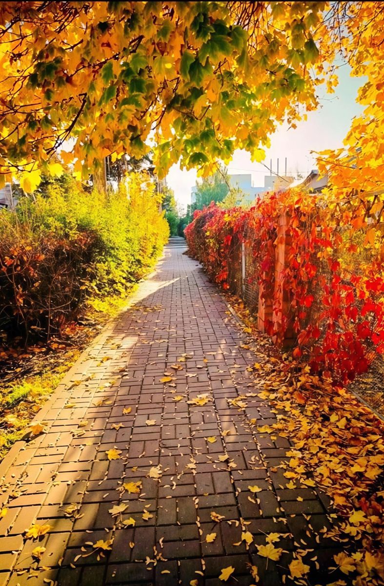 Podolskの天気写真. Elena55の美しい写真による天気予報