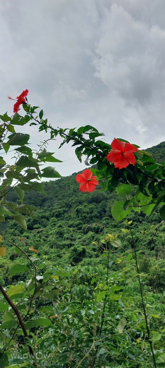 Weather forecasts with beautiful photos by Vladimir70