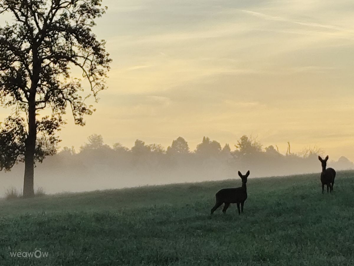 Photographer Brtd, Weather Photos in Allersberg - Weawow