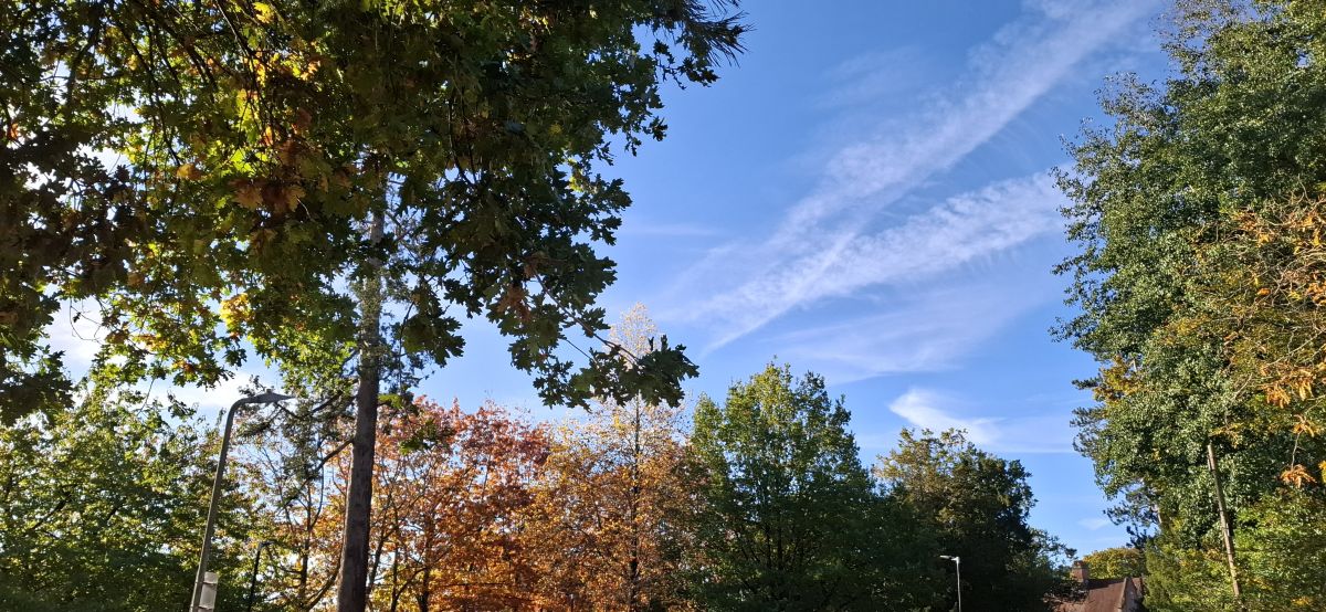 Allingtonの天気写真. Lolliの美しい写真による天気予報