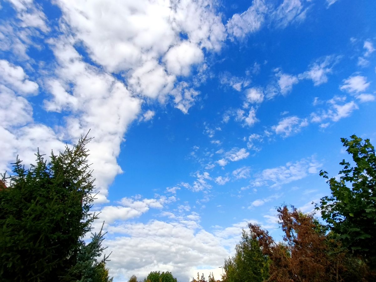 Weather forecasts with beautiful photos by Nyuh