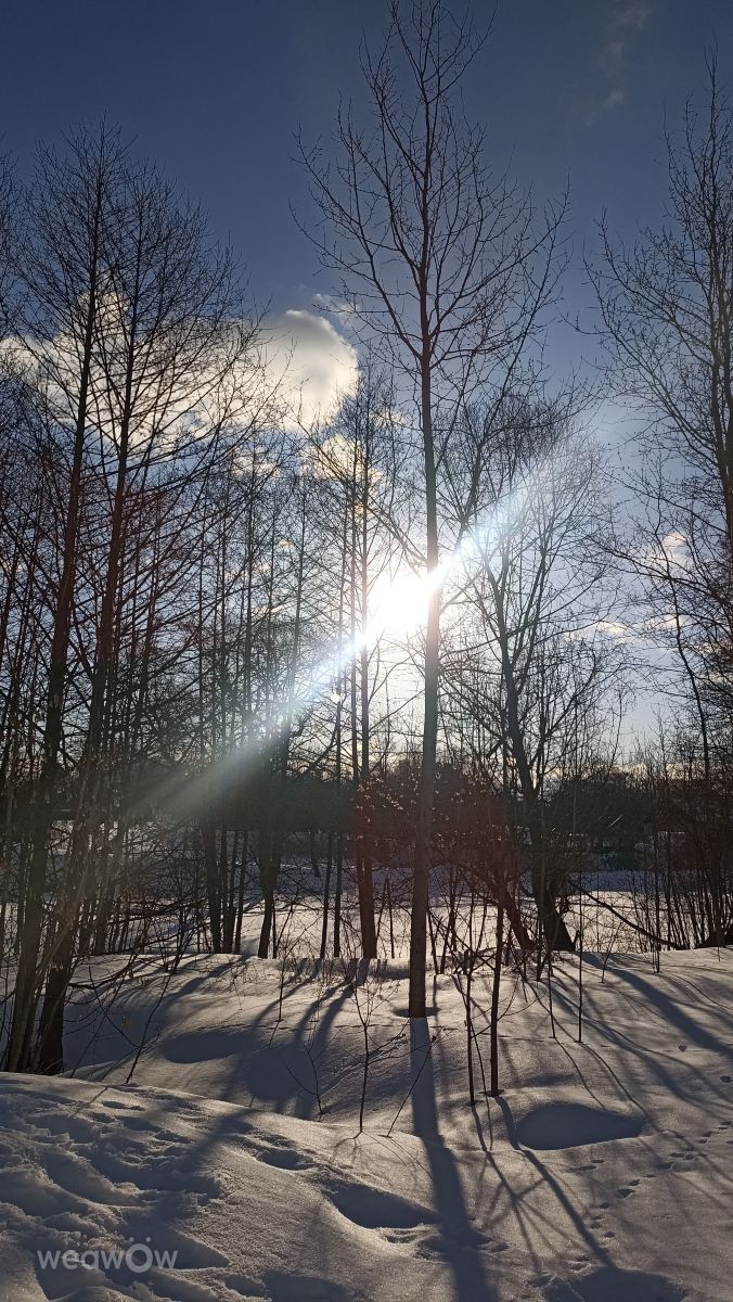 Weather Photos in Moscow Oblast. Weather forecasts with beautiful photos by Ратибор