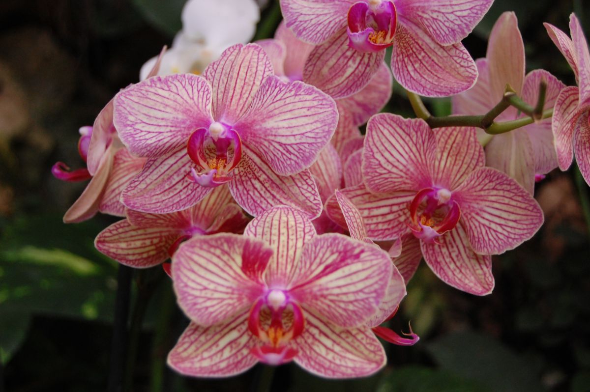 Weather Photos in Palestine. Weather forecasts with beautiful photos by Sviatoslav