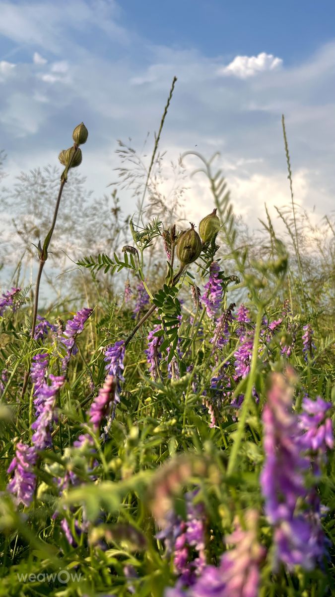 Weather Photos in Minsk. Weather forecasts with beautiful photos by Stassy