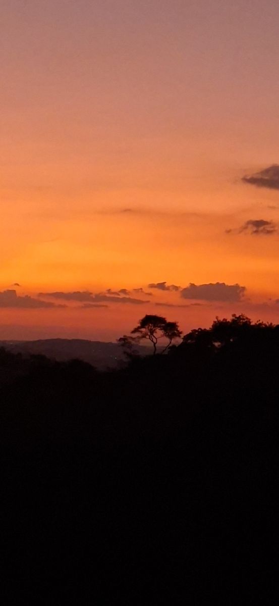 Weather forecasts with beautiful photos by Claudia Farias