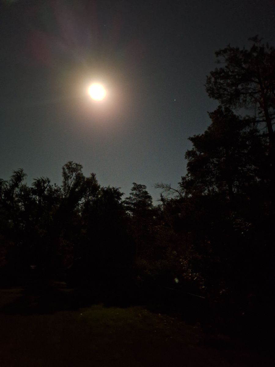 Photographer ccdn0630, Weather Photos in Barrie - Weawow