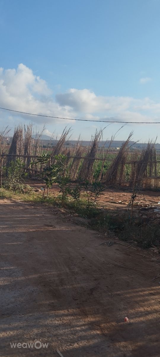 Wetter Photos Welt. Wettervorhersagen mit schönen Fotos von Messaoud Debhane