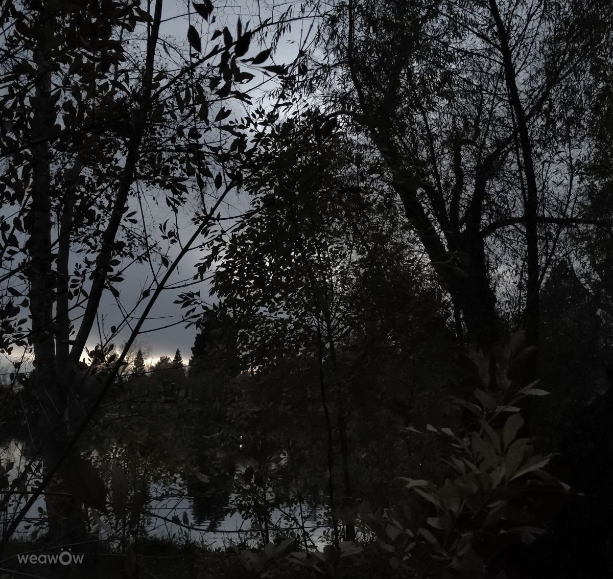 摄影师 Ghostroku，奇科的天气照片 - Weawow