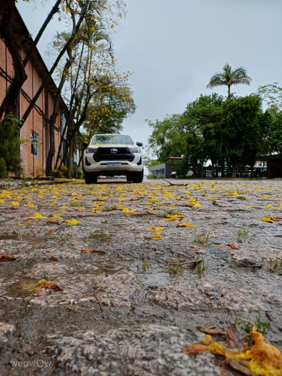 Santa Catarina的天气照片. 天气预报，带Husband_spy精美的照片