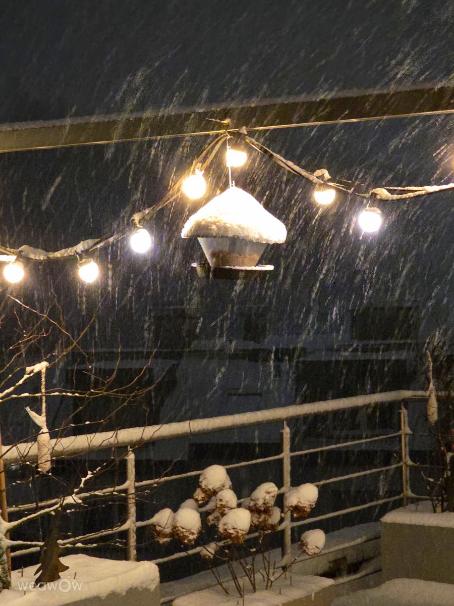 天气预报，带Seni精美的照片