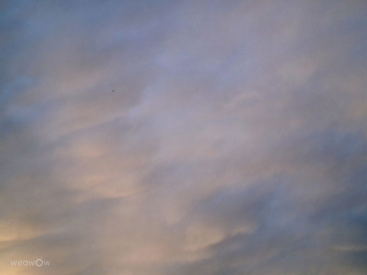 Photographer Wen-ya Huang, Weather Photos in Kaohsiung City - Weawow