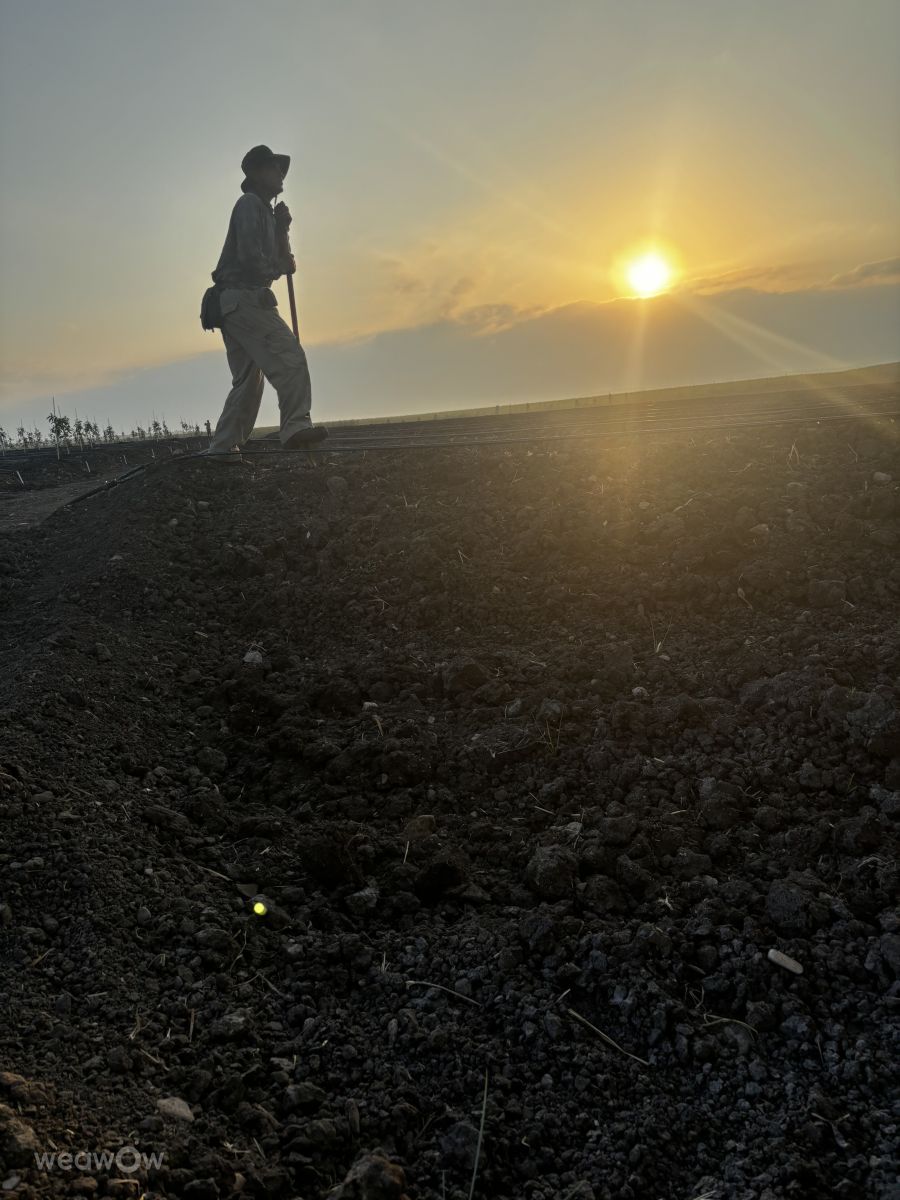 Fotos do tempo em Israel. Previsões do tempo com lindas fotos de Somchai Mompanao