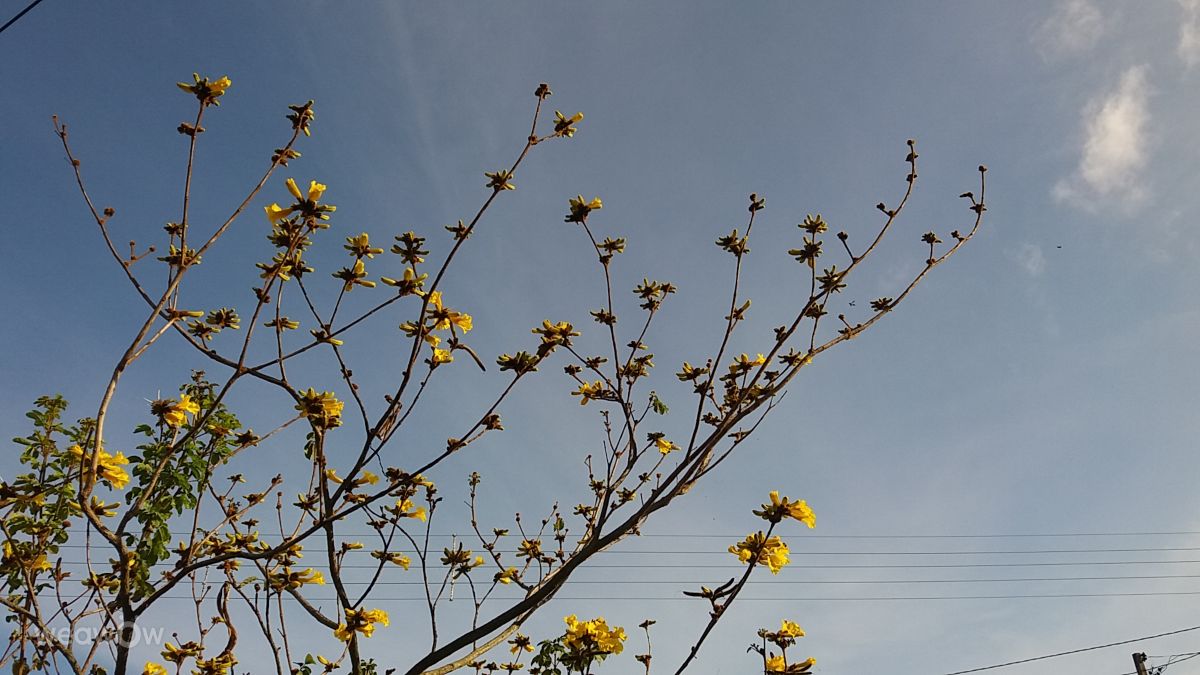 Photos météo à Guarujá. Prévisions météo avec de superbes photos de davidonefighter