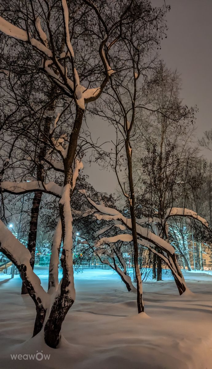 Weather Photos in Mikhnevo. Weather forecasts with beautiful photos by Alex_M_Pakarev