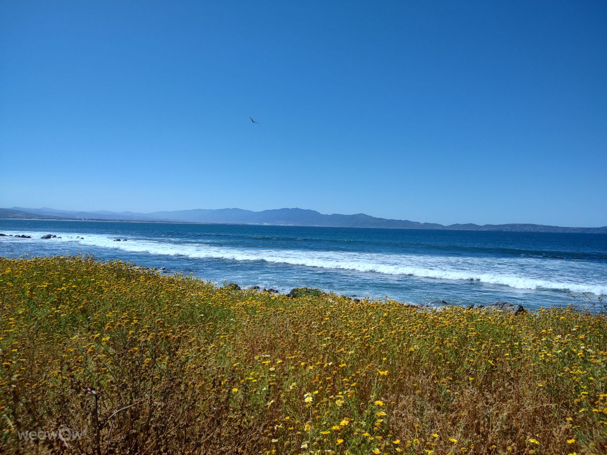 墨西哥的天气照片. 天气预报，带Roberto Goode精美的照片