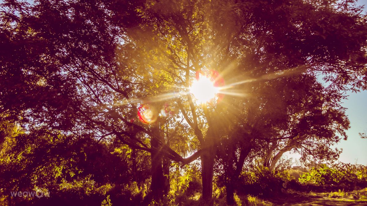 Weather Photos in Santa Fe. Weather forecasts with beautiful photos by alma_en_foto