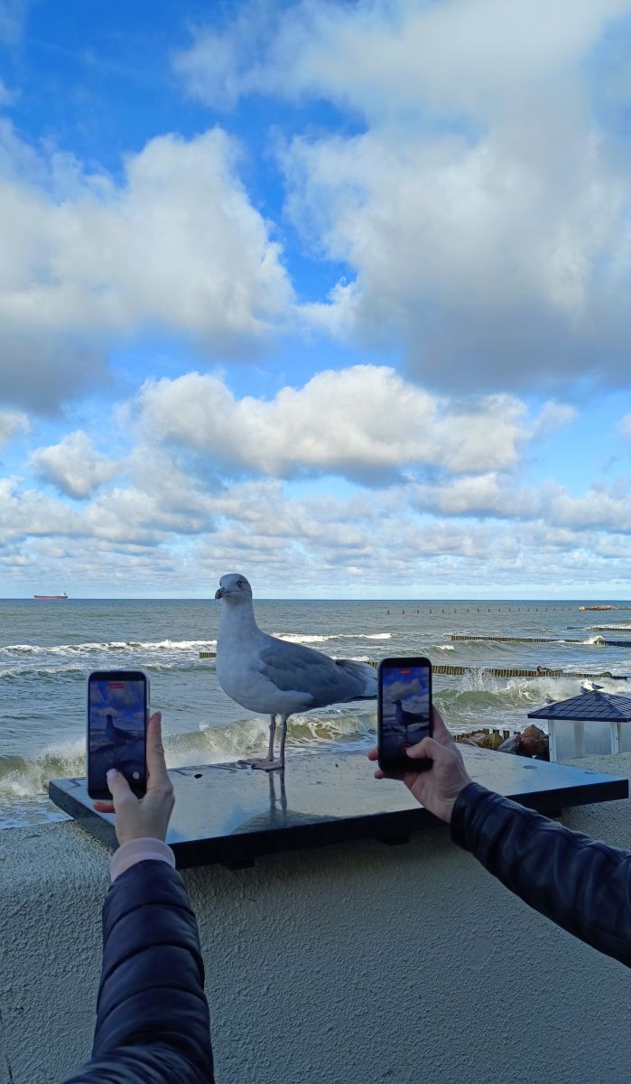 Weather Photos in Kaliningrad Oblast. Weather forecasts with beautiful photos by Михаил Бондаренко