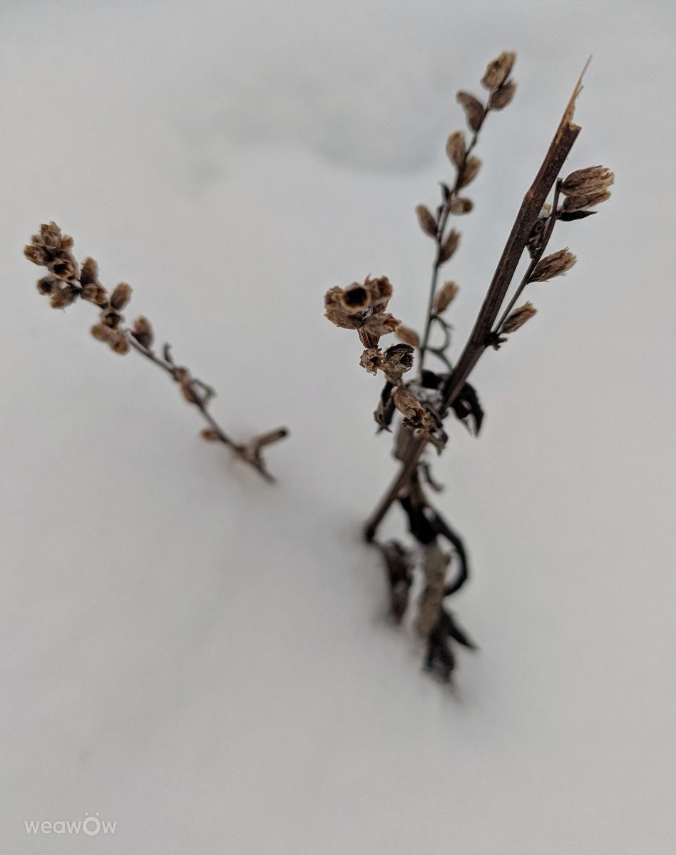 摄影师 aastrelkova，Sarapul Railway Station的天气照片 - Weawow