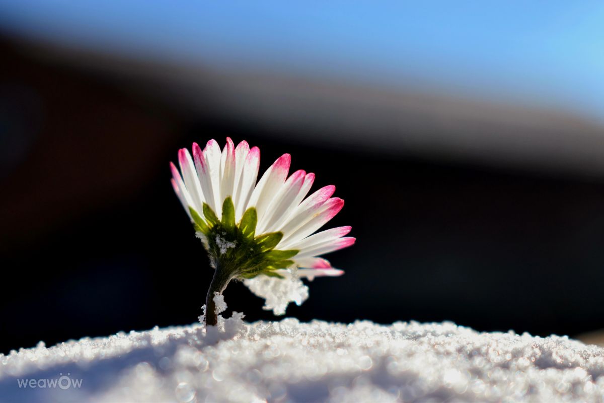 Plzeň Regionの天気写真. hejpetrpepaの美しい写真による天気予報
