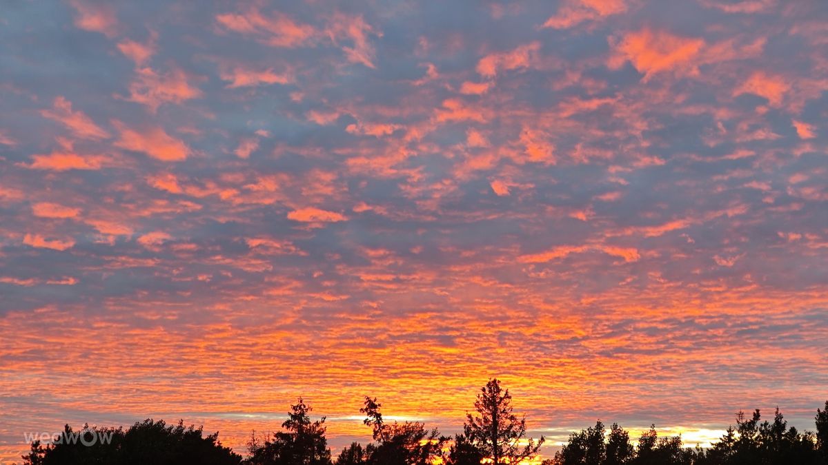 Photographer uppsalaunge, Weather Photos in Granitvägen - Weawow