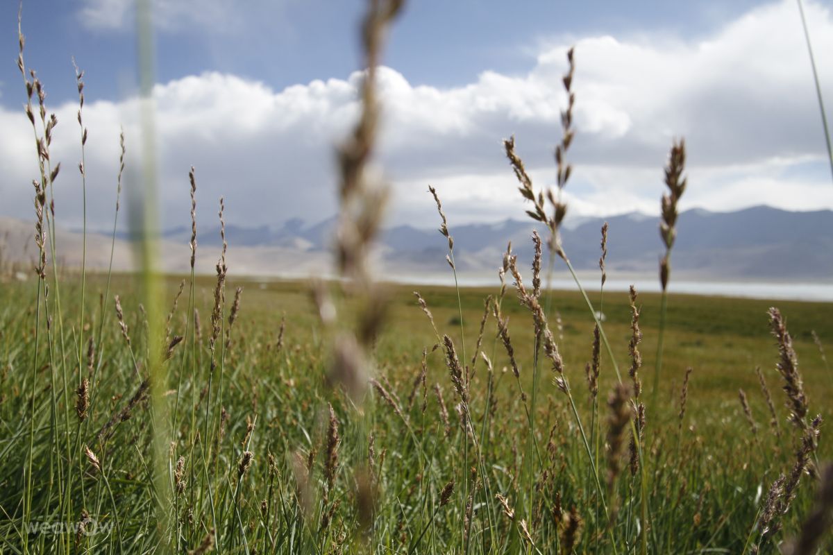 Weather Photos in Delhi. Weather forecasts with beautiful photos by Fotokhan