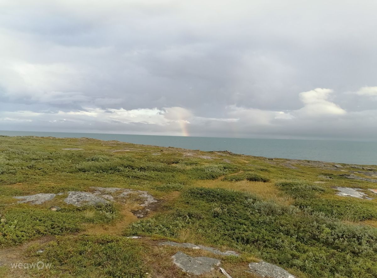 Fotos do tempo em Vadsø. Previsões do tempo com lindas fotos de Juki