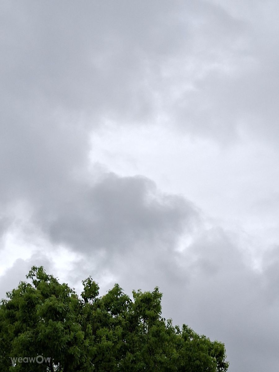 Photographer Wen-ya Huang, Weather Photos in Kaohsiung City - Weawow