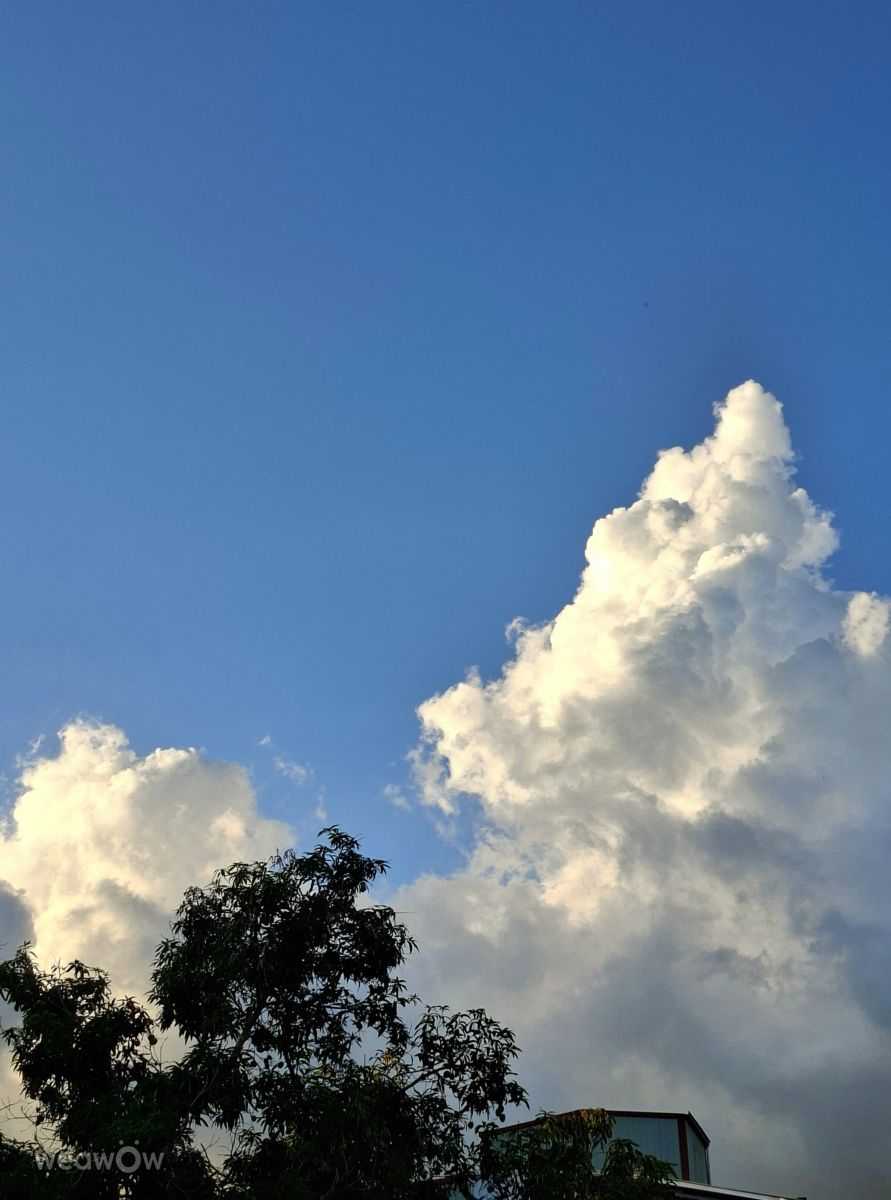 Photographer Wen-ya Huang, Weather Photos in Kaohsiung City - Weawow