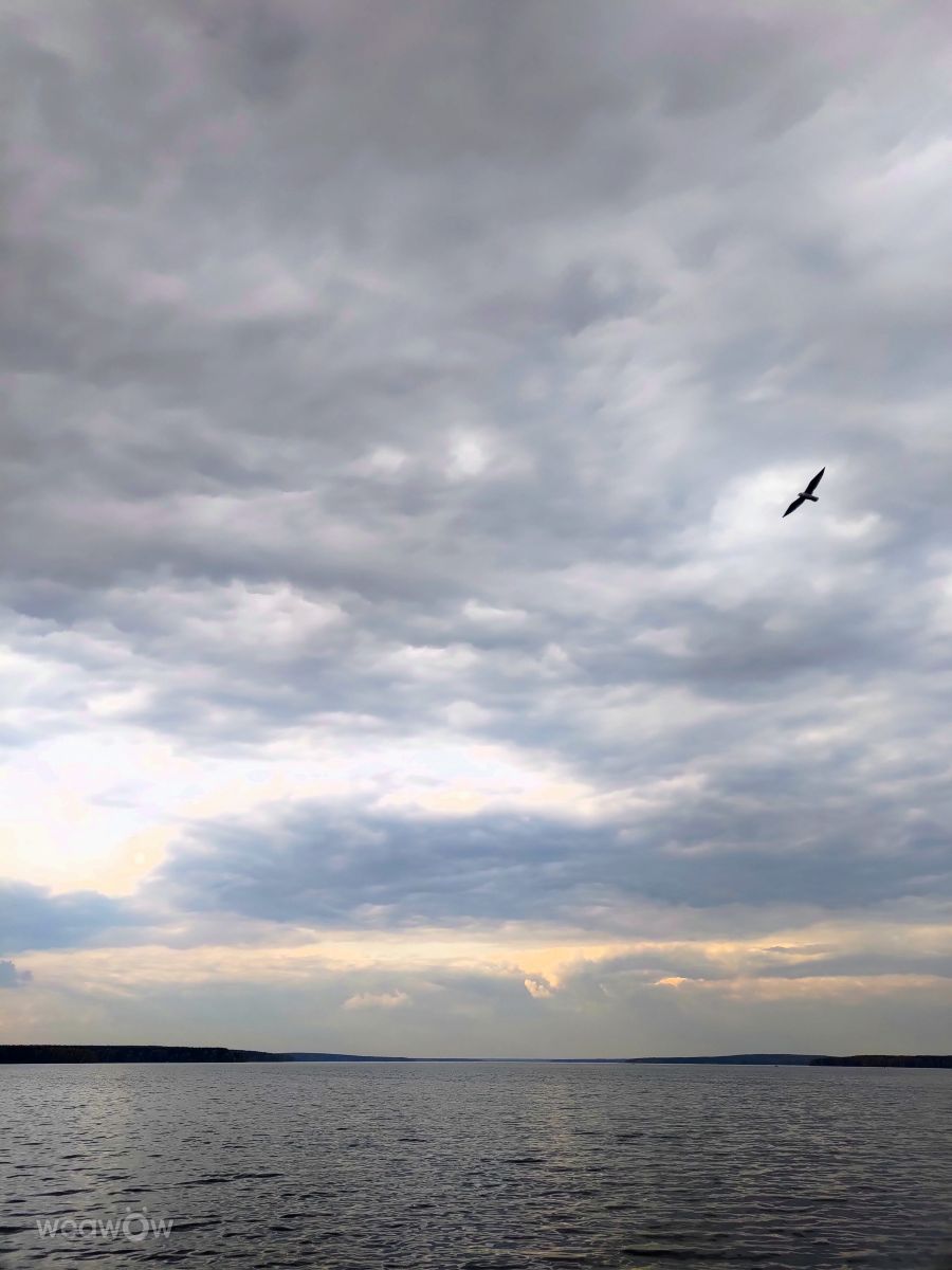 摄影师 Lara357，阿斯别斯特的天气照片 - Weawow