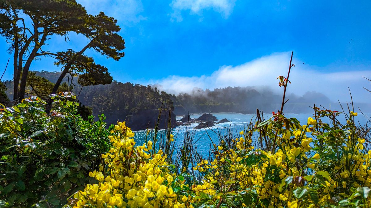 摄影师 CourtT，的天气照片 - Weawow