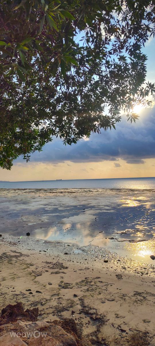 Weather forecasts with beautiful photos by Wakarima