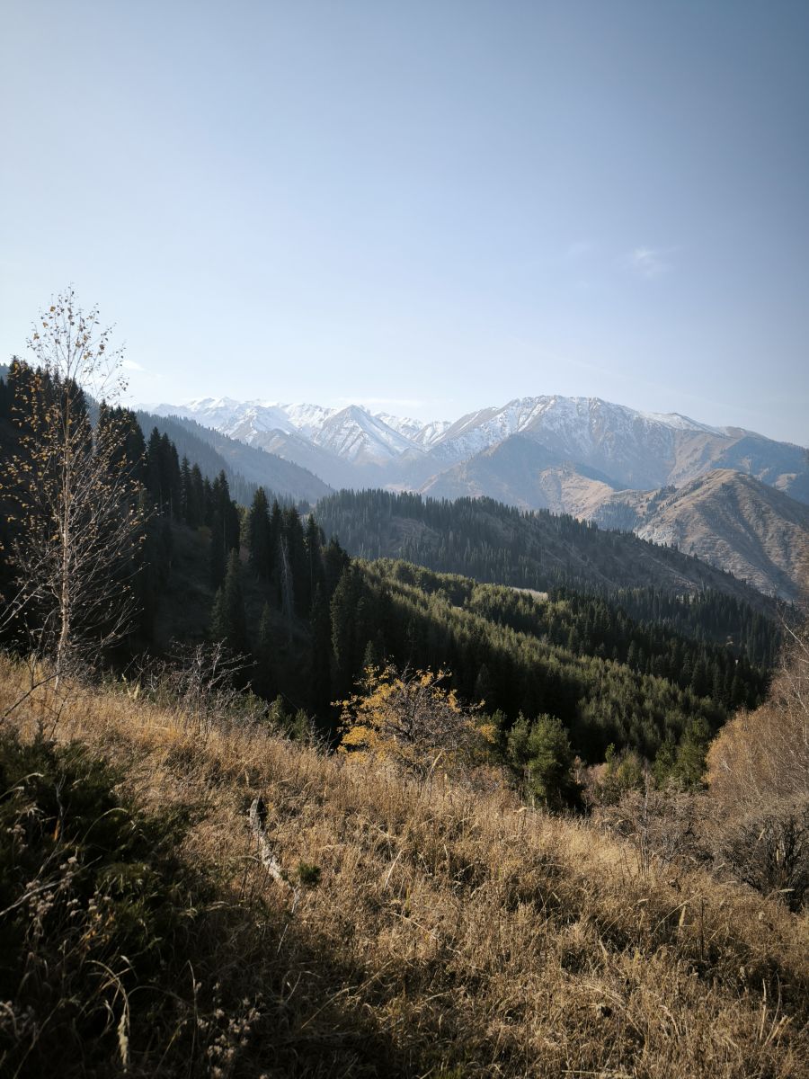 Fotografos Владимир Екименко, Fotos do tempo em Almaty - Weawow