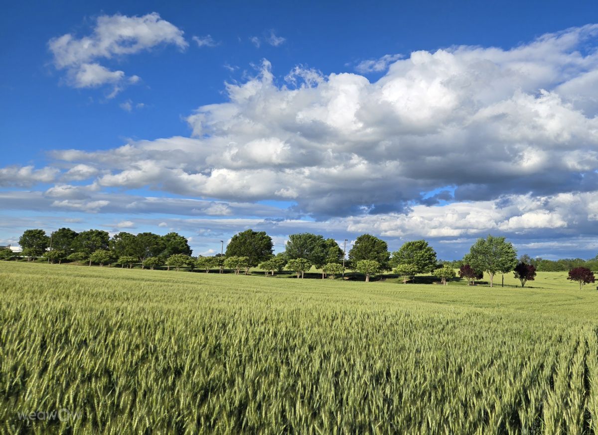 马里兰州的天气照片. 天气预报，带edyatsenko精美的照片