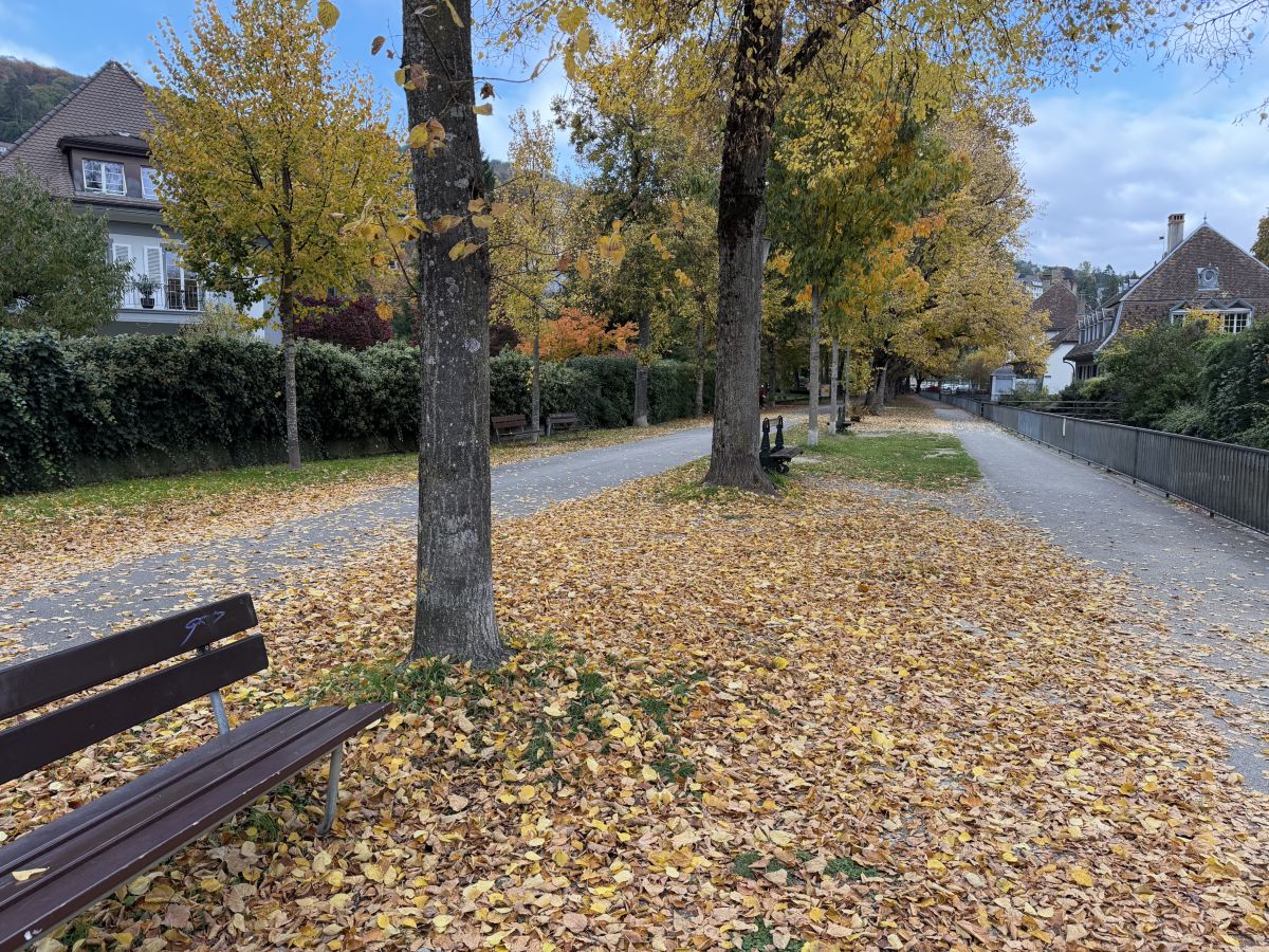 Photos météo à Bienne. Prévisions météo avec de superbes photos de SwissEloi