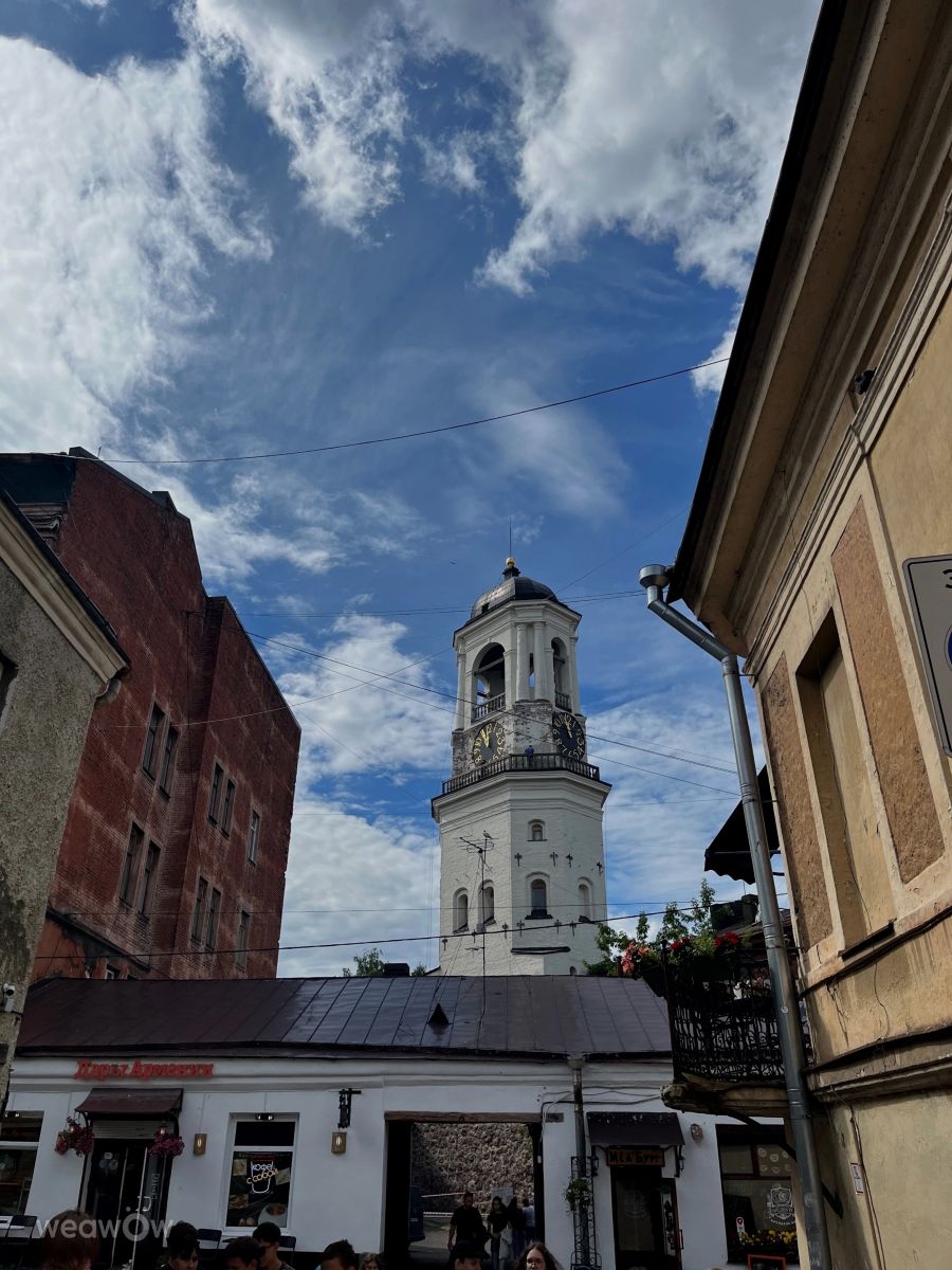 Weather Photos in Vyborg. Weather forecasts with beautiful photos by Svetlana3