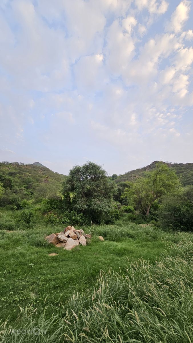 Wetter Photos Saudi-Arabien. Wettervorhersagen mit schönen Fotos von Abdullah88