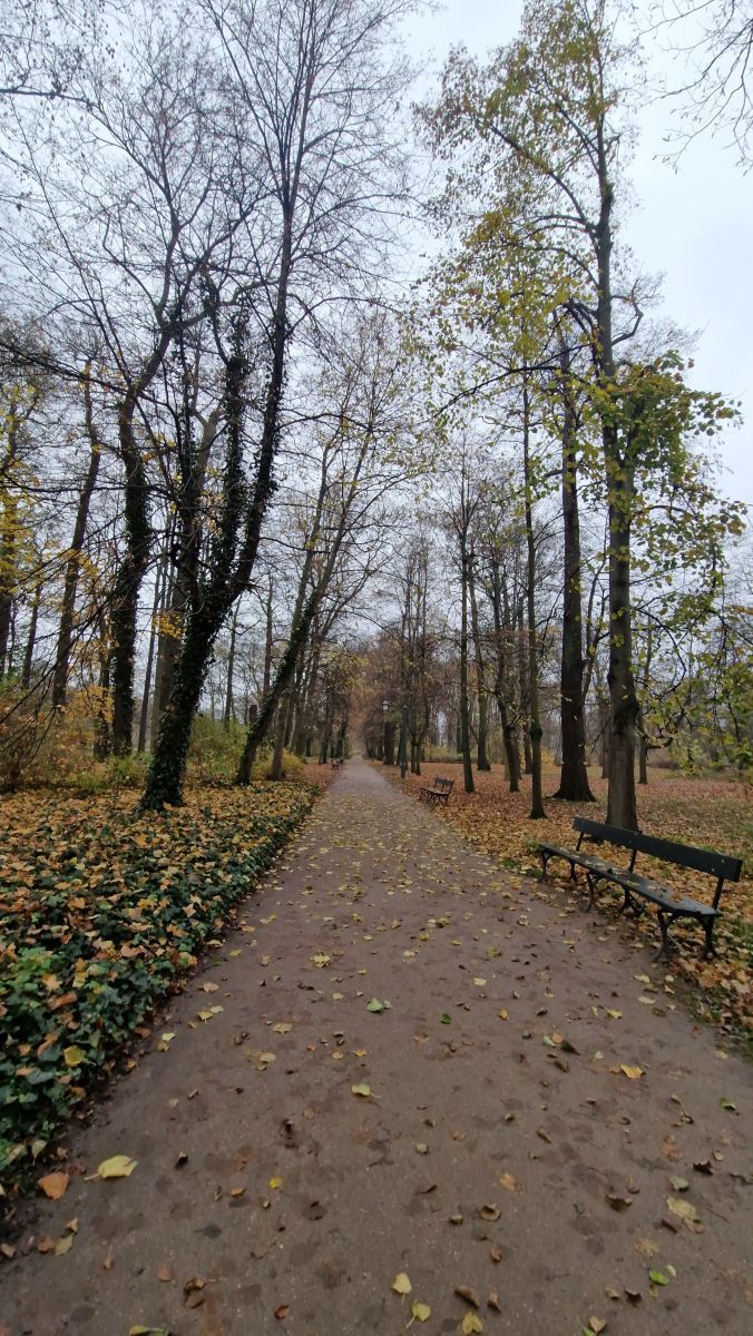 ポーランドの天気写真. jdabrの美しい写真による天気予報
