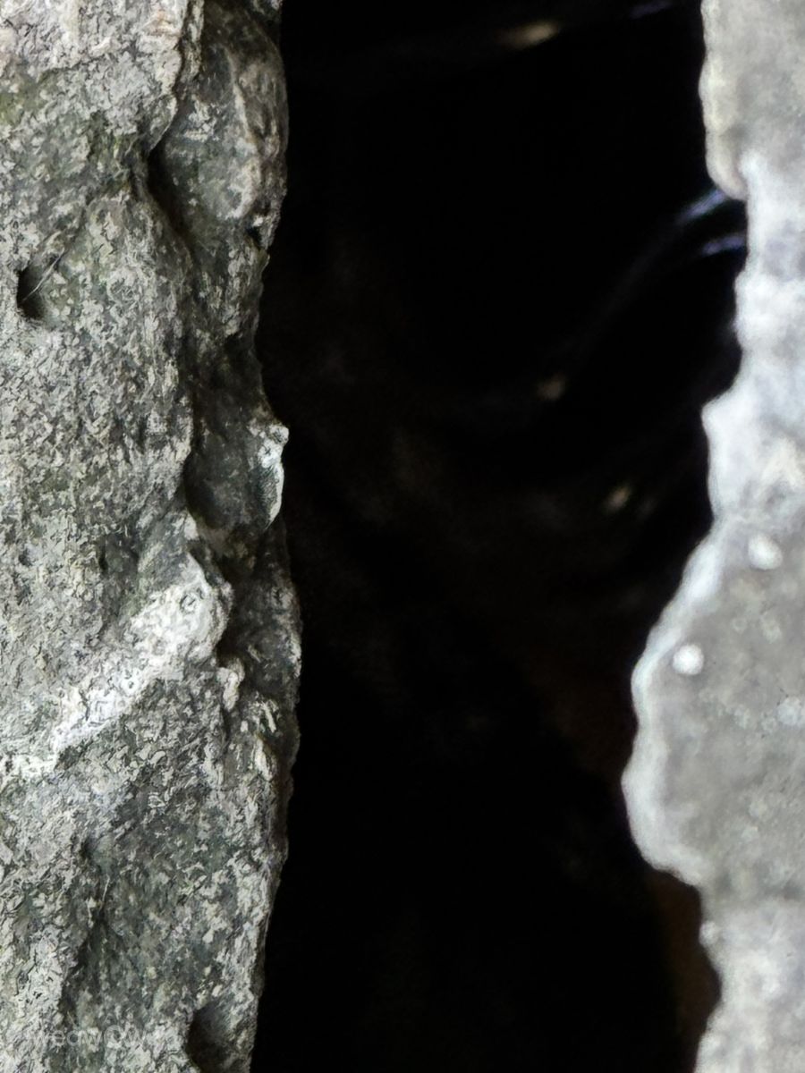 Fotos sobre el clima en Municipiul Chisinau. Pronósticos del tiempo con hermosas fotos de Sonia