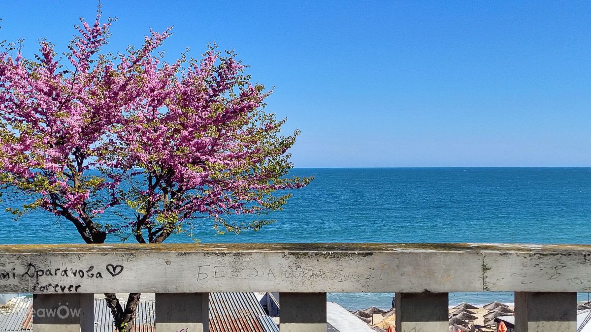 Weather Photos in Varna. Weather forecasts with beautiful photos by BozhanaStoeva6